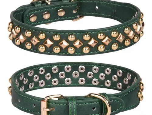 How to Prevent Your Puppy from Biting or Damaging a Leather Dog Collar